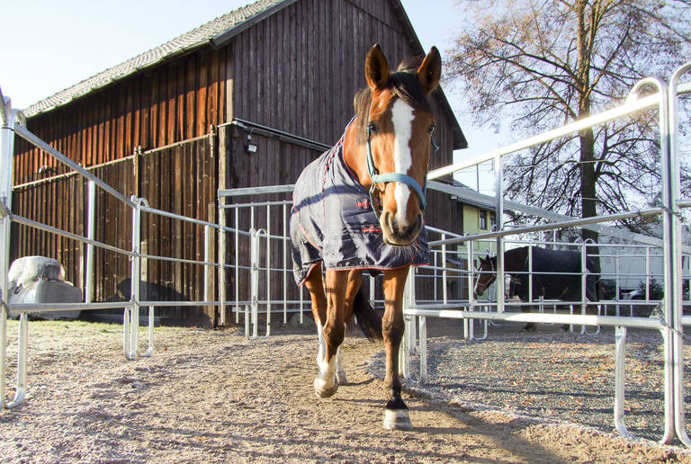 Reitanlage Neustadt – walker and movement track