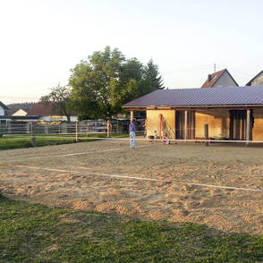 Familienhof in Anhausen – paddock surface