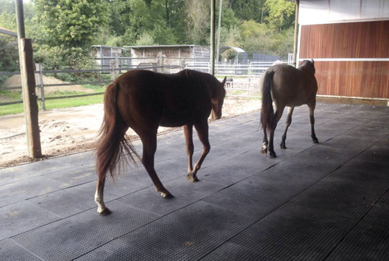 Reitanlage Kamp-Lintfort – open stable surface