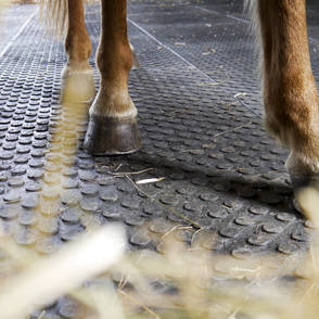 Reitanlage Regenstauf – Offenstall-Boden