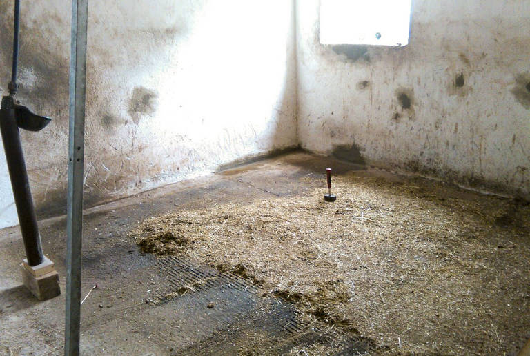 Reitanlage Neustadt – Stall und Box