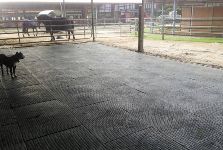 Reitanlage Kamp-Lintfort – open stable surface