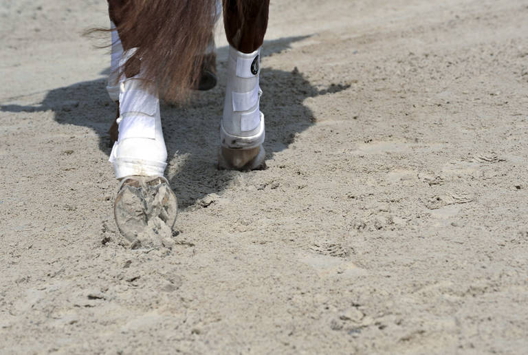 Reitanlage Feilitzsch – Reitplatz