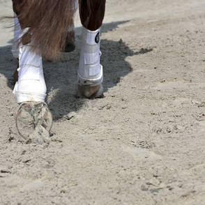 Reitanlage Feilitzsch – Reitplatz