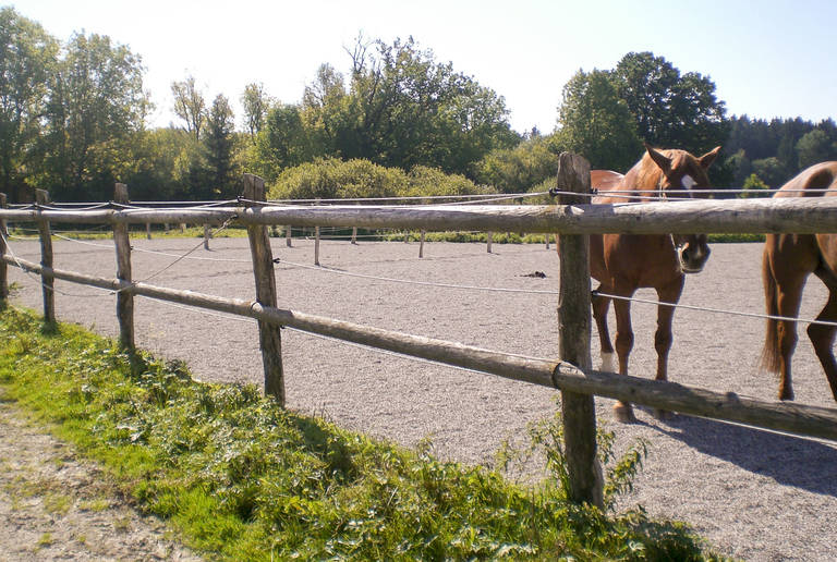 Reitanlage Laufzorn – paddock surface