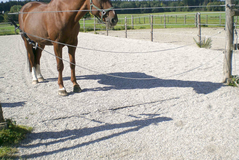 Reitanlage Laufzorn – paddock surface