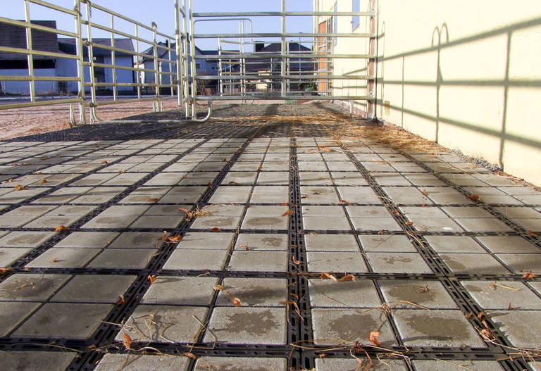 Reitanlage Neustadt – paddock surface