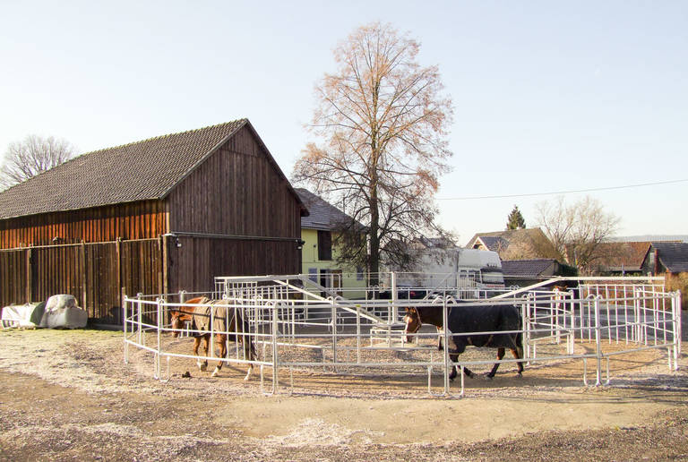 Reitanlage Neustadt – Führanlage und Bewegungsbahn