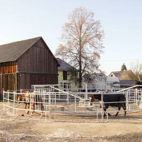 Reitanlage Neustadt – walker and movement track