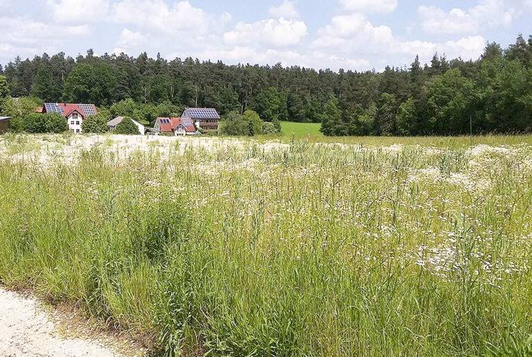 Pferdeauslauf Amberg – Paddockboden