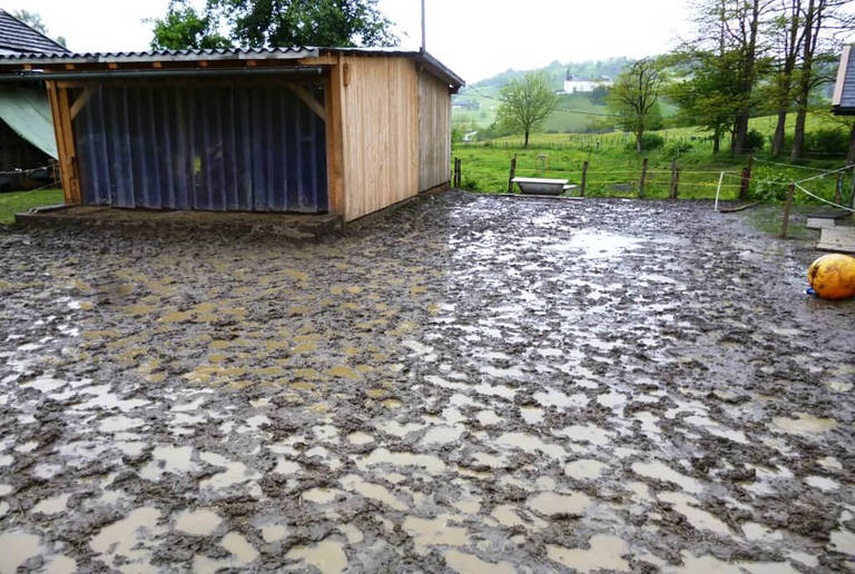 Schlamm und Wasserpfützen vor einem kleinen Stall