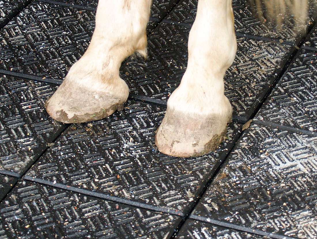 Weiße Pferdehufen stehen auf schwarzer Bodenmatte mit Sand