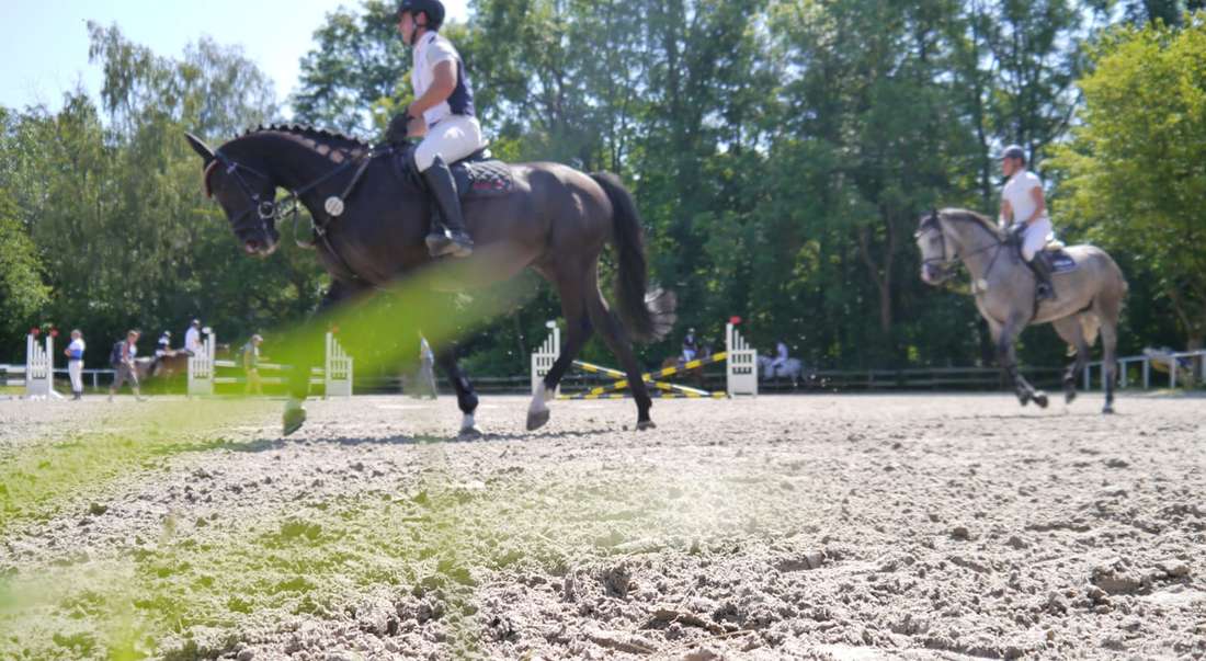 Seitliche Ansicht zweier Reiter mit Pferd auf einem Outdoor Reitplatz mit Bäumen im Hintergrund