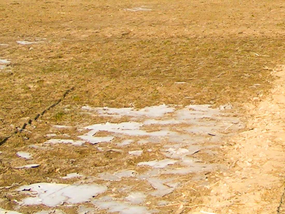 Detailansicht eines zugefrorenen Reitplatzbodens