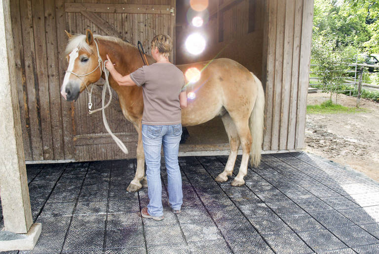 Riding facility Oberkotzau – open stable