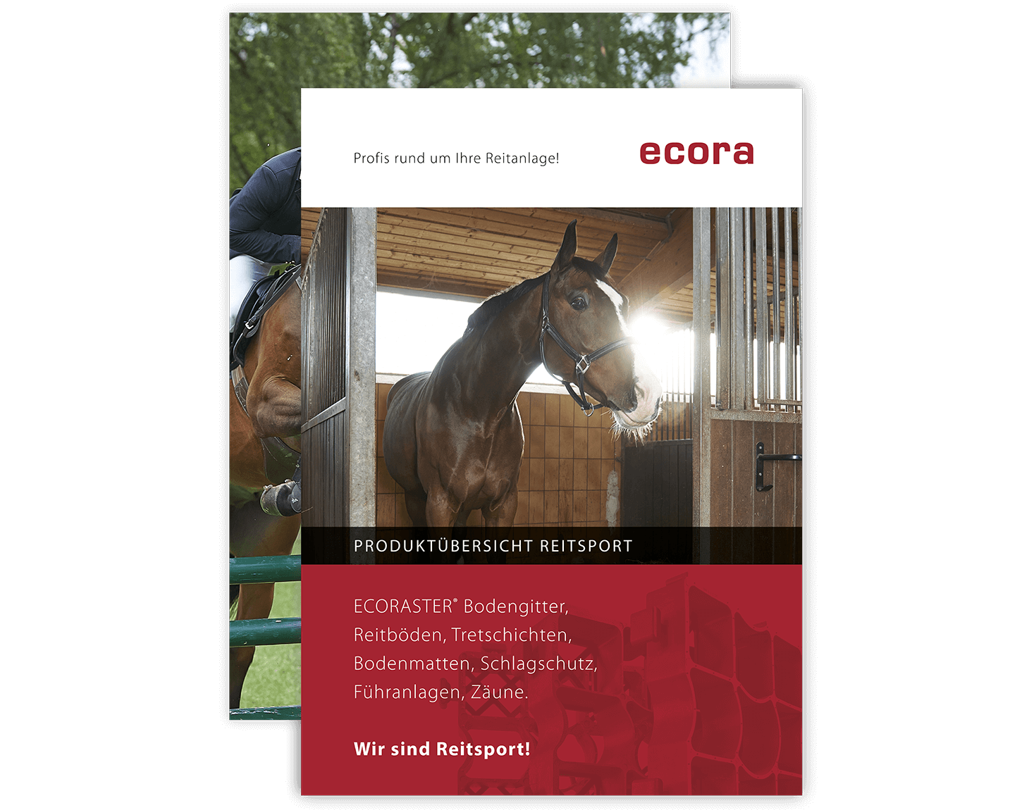 Vorderansicht der ecora Produktübersicht Broschüre für den Reitsport